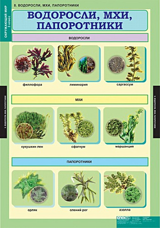 Окружающий мир 3 кл.